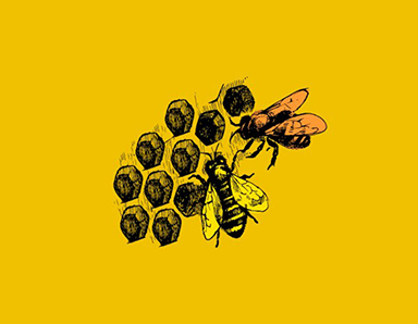 蜂蜜包裝設計—青川土蜂蜜